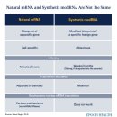 COVID-19 백신은 mRNA로 만들어진 적이 없습니다 이미지