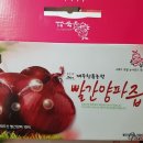 믿음삼대한의원 | 청룡농원 빨간양파즙 후기 - 자색양파즙효능 그리고 성분