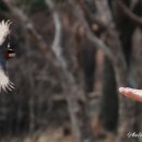 신구대학교식물원 갤러리 우촌 이미지