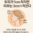 에코레비 에스테틱
