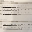 원 핏 아라 이미지