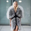 이리스(IRIS) 이미지