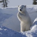 (주)와우보스 이미지