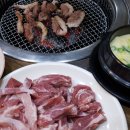 장천머리고기 이미지