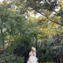 하우스장 | W6 노마하우스 아이폰스냅(iPhone snap) 장,단점 솔직후기