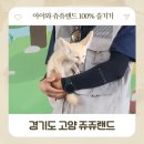 그늘막85 | 고양 쥬쥬랜드 아이랑 즐길거리 동물설명회 공연 모래놀이터 놀이기구 식당 카페 후기