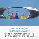 세왕 이미지