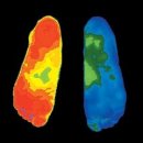 부산교통 이미지