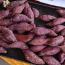 임성규농장 | [전북 고창이 그린 푸드테라피 투어 2탄] 복분자 와인, 국민 간식 고구마를 만나다