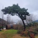 외정공원 이미지