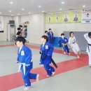 용인대 현풍 유도&주짓수 네이버블로그