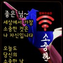 노래교실(오전) Daum카페