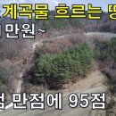 진심 100점 만점에 95점~샘물과 계곡물 흐르는 땅 평당 1만원~[땅지통] 이미지