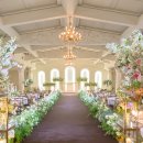 라루체 | 웨딩홀 투어 후기 :: 명동 라루체｜서울 밝은 웨딩홀 가성비, 27년 상반기 (견적 O)