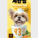 앤더독 이미지
