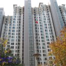 수원-1904 이미지