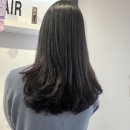 스타일제인 이미지