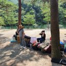 38야영장 이미지