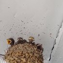 제비공인중개사사무소 이미지