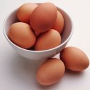 유일식품 티스토리