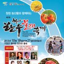 장전천1 Daum카페