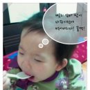 올리브그린 이미지