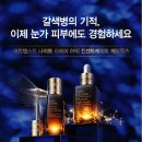 [사용후기] 에스티로더 갈색병 아이크림, 어드밴스드 나이트 리페어 아이 컨센트레이트 매트릭스 구매후기