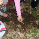 새봄유치원 숲속다람쥐학교 숲 체험 방문 이미지