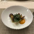 썸머링(summering) 이미지