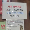 무안현경회타운
