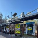 천안버들유치원 이미지