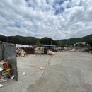 홍천세무서 이미지