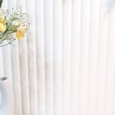 써니애견 미용실 이미지