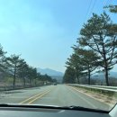 가야호텔 청화산한옥풀빌라 이미지