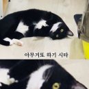인생비어 네이버블로그