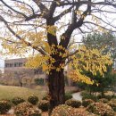 기양리주차장 내 이미지