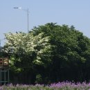 영천강변공원 공중화장실(4) 이미지