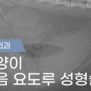 고성동물병원 이미지