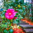 대교  마을회관 이미지