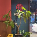 리춘시장 경산옥산점 이미지