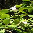 방화동자연휴양림 이미지