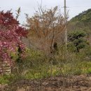 도곡우리공인중개사사무소 이미지