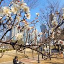 매화스포츠산업