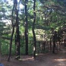 638회 일요걷기(6월21일) 부천역에서 성주산 능선숲길-둘레길 일부-이어서 전망좋은 소래산으로 걷겠습니다 이미지