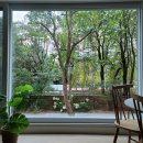 아파트는 무조건 고층보다 ''1층을 사야 하는'' 소름 돋는 이유 이미지