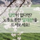 봄나물 요리 - 향긋하고 노릇노릇한, 봄철 피로회복제 달래전 드세요! 이미지