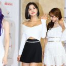 미모 이미지