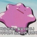 창신육회빈대떡