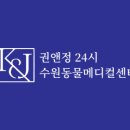 권앤정동물외과병원