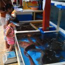 대왕수산 이미지